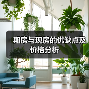 期房与现房的优缺点及价格分析（图3）