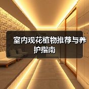 室内观花植物推荐与养护指南