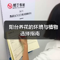 阳台养花的环境与植物选择指南（图3）
