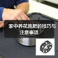 家中养花施肥的技巧与注意事项（图4）