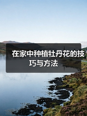 在家中种植牡丹花的技巧与方法（图4）