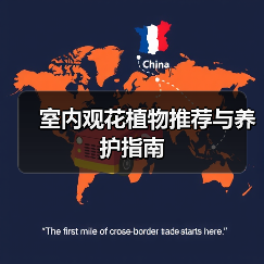 室内观花植物推荐与养护指南（图3）