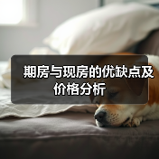 期房与现房的优缺点及价格分析