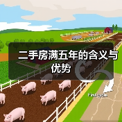 二手房满五年的含义与优势（图3）