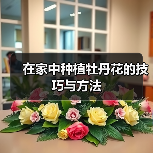 在家中种植牡丹花的技巧与方法（图3）