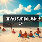 室内观赏植物的养护技巧