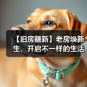 【旧房翻新】老房焕新生，开启不一样的生活方式