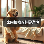 室内植物养护需谨慎（图4）