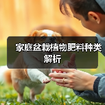 家庭盆栽植物肥料种类解析（图3）