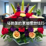 马蹄莲的家居摆放技巧（图3）