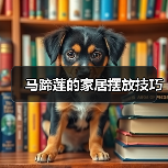 马蹄莲的家居摆放技巧（图4）